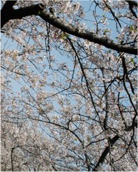 湘南ホライズンファミリーチャーチについて